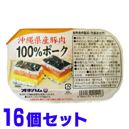 沖縄県産豚肉100% ポークランチョンミート 140g×16缶 オキハム