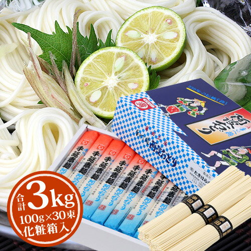 [送料無料][約30人前]手延べ半田そうめん　阿波おどり3kg[100g×30束] 1