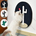 猫用 壁掛け 使える2WAY 可愛い 猫 猫用 サボテン 爪とぎ 爪研ぎ ダンボール 段ボール 猫爪とぎ 爪磨き 壁に貼れる 爪とぎボード 壁 掛け式