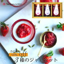 ★糖類ゼロ カロリーoffジャム3本set★ 楽天ランキング 1位 カロリー カロリーオフ 糖類 糖質 ダイエット 美容 健康 母の日 父の日 果実 ギフト 瓶 苺 内祝い お返し おしゃれ 美味しい 出産 出産内祝い 結婚 かわいい 送料無料 おすすめ ジャム jam★