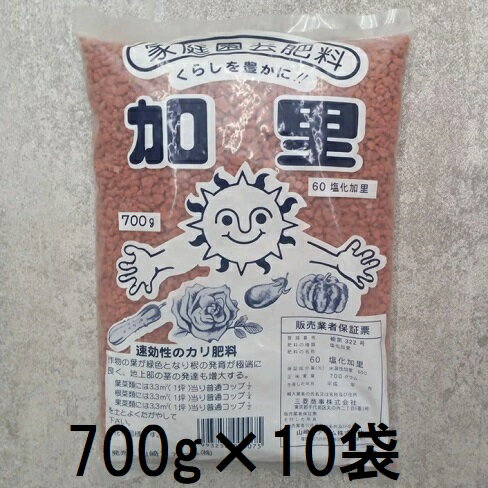 乐天商城 - (徳用10個セット) 加里 700g　zs