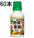 (60個ケース特価) ベニカベジフル乳剤 100ml 害虫退治 殺虫剤 住友化学園芸 (法人個人選択)