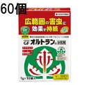 (60個ケース特価) 家庭園芸用 GFオルトラン水和剤 1g×10袋 害虫退治 殺虫剤 住友化学園芸 (法人個人選択)