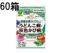 (60箱 ケース特価) 家庭園芸用 カリグリーン 1.2g×10 害虫退治 殺菌剤 住友化学園芸 (法人個人選択)