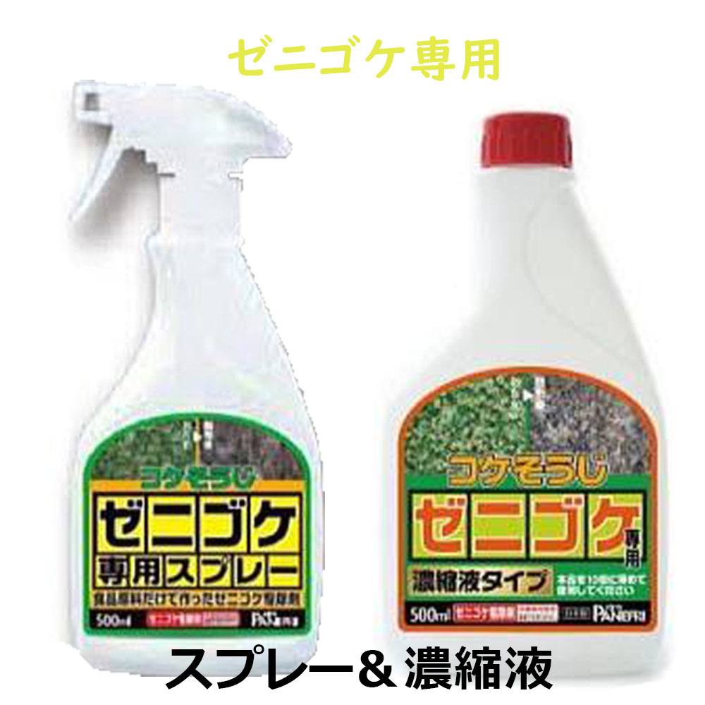 (特価セット コケそうじ) ゼニゴケ専用スプレー 500ml1本と濃縮液タイプ 500ml 1本 パネフリ工業