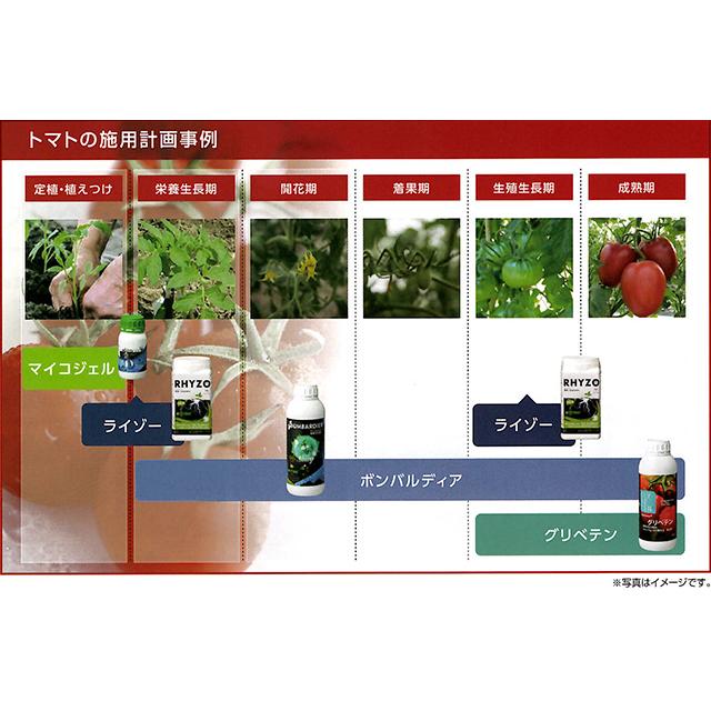 瀧商店の(ケース特価 12本セット) グリベテンNK 1L×12 果実のひび割れ・カルシウム＋ホウ素欠乏軽減剤 GLYBETEN ハイポネックス バイオスティミュラント資材　zm｜アングル3