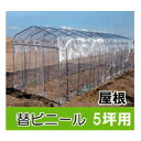 替えビニール 屋根用 ダイムハウス (ビニールハウス) 5坪用 ※本体は別途お求めください。第一ビニール DAIM