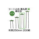 (200組セット) 黒丸君 (黒丸君板 4穴 緑 と スチール杭 足長25cm) スチール杭 250mm 傘付 緑 (マルチ 防草シート 不織布の止め具) シー...