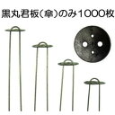 黒丸君板 4穴（黒）1000枚入※杭は別売（黒丸傘 止め杭用丸型板 シート押さえ） 槍木産業