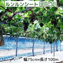 ルンルンシート 白ピカ 幅75cm×100m光合成促進 遮熱性防草シート 小泉製麻 (法人個人選択)