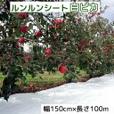 ルンルンシート 白ピカ 幅150cm×100m 光合成促進 遮熱性防草シート 小泉製麻 (法人個人選択)