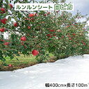 ルンルンシート 白ピカ 幅400cm×100m 光合成促進 遮熱性防草シート 小泉製麻 (法人個人選択)