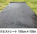 クエストシート 黒 幅100cm×100m防草シート 小泉製麻 (法人個人選択)
