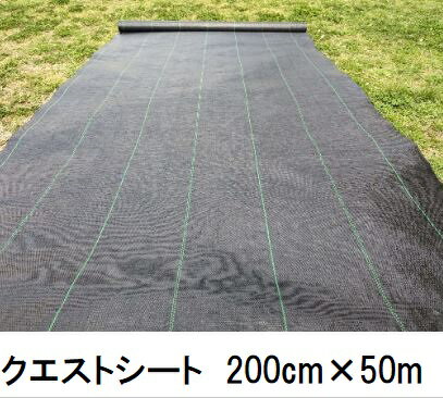 クエストシート 黒 幅200cm×50m 防草シート 小泉製麻 (法人個人選択)