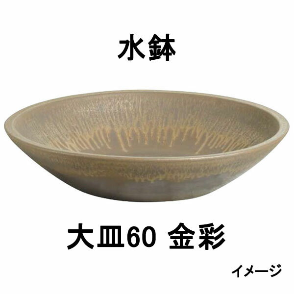 ڿھơۿȭ 绮60  (KTO-040 41949400) [硼 ƥꥢ ¤ DIY Ź]