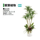 タカショー 【室内用】 人工植物 観葉植物 ドラセナ コンシンネ 寄植付 1.6m (GD-246 33650000) ［タカショー 園芸用品 エクステリア 農機具 瀧商店] yuas