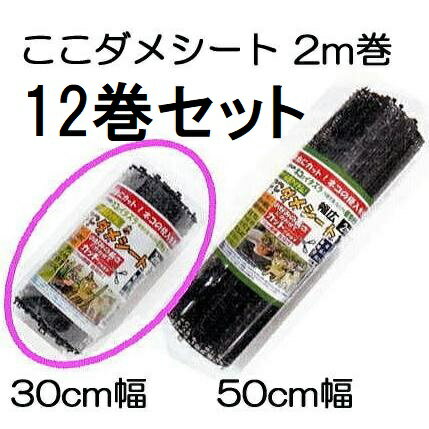 乐天商城 - (ケース12巻セット) ここダメシート 幅30cm×2m 黒色 第一ビニール 【ネコ・犬・鳥などの侵入を防ぐ】 (個人宅不可 法人個人選択)