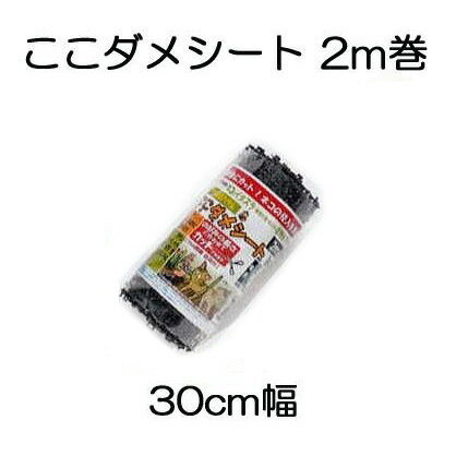 ここダメシート 幅30cm×2m 1巻 黒色 第一ビニール 【ネコ・犬・鳥などの侵入を防ぐ】 (zmL4)