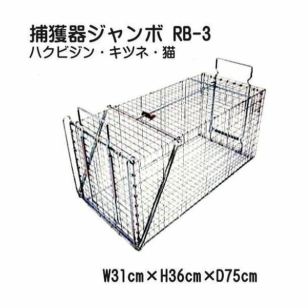 捕獲器 ジャンボ RB-3 (メッキ) アニマルキャッチャー 今なら手袋2双付き Dtype No.402 AG-2 ［ジャンボ 外バネ式 害獣 動物 罠 トラップ］