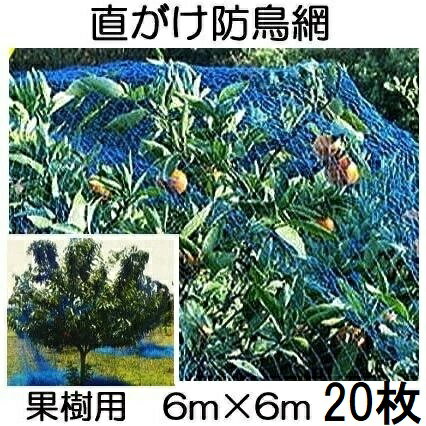 (20枚セット特価) 果樹用 直がけ防鳥網 6m×6m 20mm目 1000d (果樹すっぽり防鳥ネット)