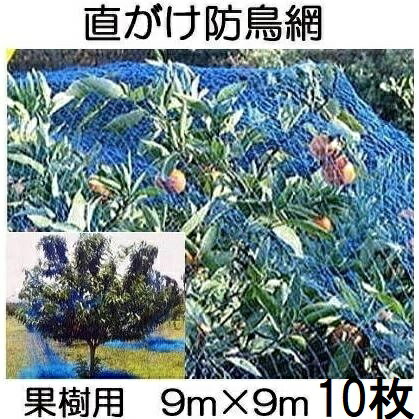 (1ケース特価 10個セット) 果樹用 直がけ防鳥網 9m×9m 20mm目 1000d (強力防鳥網 果樹すっぽり防鳥ネッ..