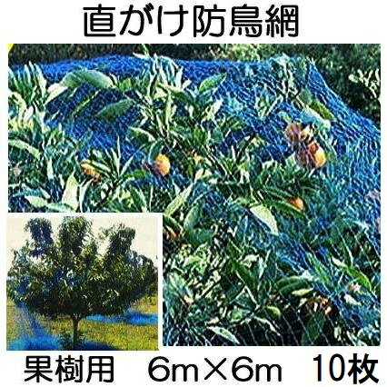 (10枚セット) 果樹用 直がけ防鳥網 1000d 20mm目 6m×6m 強力防鳥網【果樹すっぽり防鳥ネット】zmzs