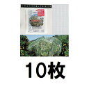 (徳用10枚組特価) キンボシ 果樹すっぽり防鳥ネット 6×6M 7679 (防鳥網)　zm