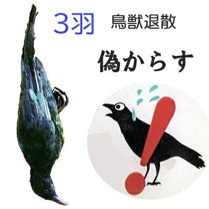 この商品は代金引き替え決済ができます。 表面は羽毛、実物そっくりで害鳥もびっくり！ カラスには逆さ吊りに、ヒヨドリには頭を上に鳥獣退散　偽カラス　カラスのかーすけ ●まるで本物のカラスのような風合いで、風に揺れ、害鳥がびっくり。●ハト、スズメには上向きに、カラスには下向きに吊るすと効果的です。　表面羽毛　全長：約44cm &nbsp; 関連商品&nbsp; ●時折、場所を変える　●雨などの時は取り外す　●何年も使えます 水田、畑、果樹園、ゴミステーションに 本物の羽毛が付いて　実物そっくり　害鳥もビックリです。 本体　ポリエチレン　表面羽毛　サイズ　17W×60cmH &nbsp;