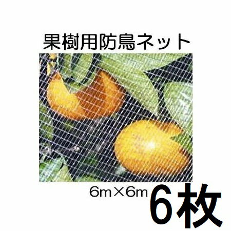 (徳用6枚セット) キンボシ 果樹すっぽり防鳥ネット 6m×6m 果樹用防鳥網 7679 直がけ防鳥網　zm