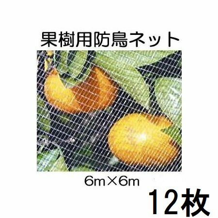 (12枚セット特価) キンボシ 果樹すっぽり防鳥ネット 6×6M 7679 (直がけ防鳥網) (個人宅配送不可)　zm