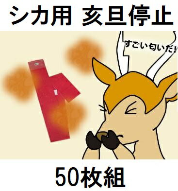 (50祻å)  ö äƤ ɻѥ (Ļﳲɻкն оݾ) õ ʡǮzm