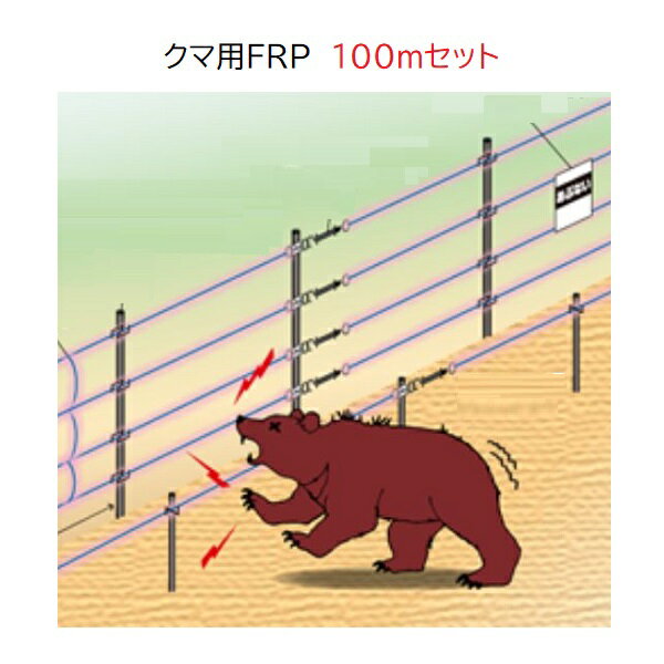 ●セット内の本機は、お客様登録をされますと最長一年間の盗難補償が付いています。また、万一、正常な使用法のもとで故障した場合は3年間修理無料保証付きです。 メーカー直送品のため代引決済はできません。 北海道、沖縄、離島への送料は見積りになります。商品説明 【セット内容】 ※取付支柱・出入口ゲートは含まれておりません。別途お買い求めください。 　 　 　