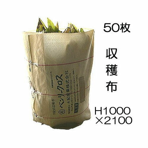 (50枚セット) 収穫袋 収穫布 ベンリークロス H1000×2100 色ベージュ ネギマキネット (法人限定 送料無料) 大紀産業