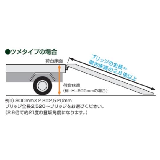 (2本セット) 昭和ブリッジ GP-210-50-5.0T 軽量 アルミブリッジ (ツメタイプ) GP-T型 5.0t/本　法人個人選択 3