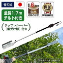 ARS (アルス) 高枝電動バリカンDKR DKR-1030TC-BK ショート1.7m ロングチルト・チップレシーバー付き