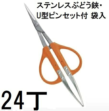 樂天商城 - (24丁セット特価) 近正 B-300SU ステンレス ぶどう鋏・U型ピンセット付 本職園芸はさみ チカマサ (ネコポス2個orヤマト)　(zm)