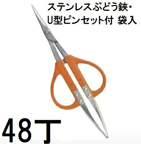 (48丁セット大特価) 近正 B-300SU ステンレス ぶどう鋏・U型ピンセット付 本職園芸はさみ チカマサ　(zm)