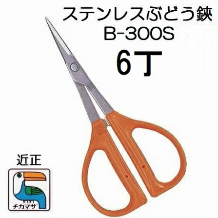 (6丁セット) (標準包装) 近正 ステンレス ぶどう鋏 B-300S チカマサ (ネコポス)　(zmA21)