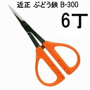 (徳用6丁セット) (標準包装) 近正 ぶどう鋏 B-300 チカマサ (ゆうパケット) (zmA70)
