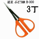 (3丁セット) (標準包装) 近正 ぶどう鋏 B-300 チカマサ (ゆうパケット) (zmA70)