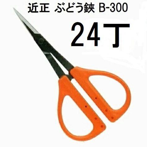 (24丁セット特価) (標準包装) 近正 ぶどう鋏 B-300 チカマサ (ネコポス2個)　(zmA70)
