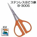 (標準包装) 近正 ステンレス ぶどう鋏 B-300S チカマサ (スマートレター)