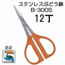(12丁セット特価) (標準包装) 近正 ステンレス ぶどう鋏 B-300S チカマサ (ゆうパケットor佐川等) (zmA21)