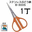 (標準包装) 近正 ステンレス ぶどう鋏 B-300S チカマサ (スマートレター)