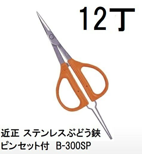 (12丁セット特価) 近正 ステンレスぶどう鋏・ピンセット付 B-300SP (BP) チカマサ ぶどうハサミ　(zmA70)