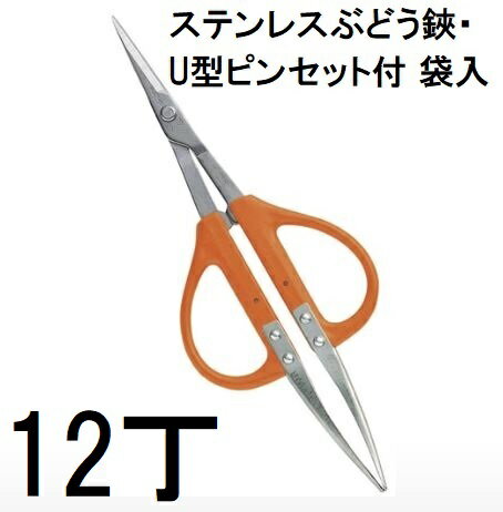 (12丁セット特価) 近正 B-300SU ステンレス ぶどう鋏・U型ピンセット付 本職園芸はさみ チカマサ (ゆう..