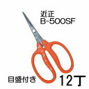 (12丁セット特価) 近正 ぶどう鋏 B-500SF ステンレスフッソ加工 ぶどう手入れ鋏 目盛付き チカマサ (zmA70)