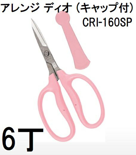 (徳用6丁セット) 近正 フローリスト アレンジはさみ CRI-160SP アレンジ ディオ (キャップ付) チカマサ (レターパックor佐川等)　(zmA70)