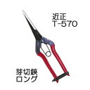 近正 T-570 芽切鋏 ロング チカマサ (ゆうパケット)