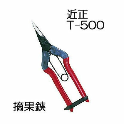 (ɸ)  Ŧ T-500 ޥ (8ܤޤǤ椦ѥå)(zmA70)